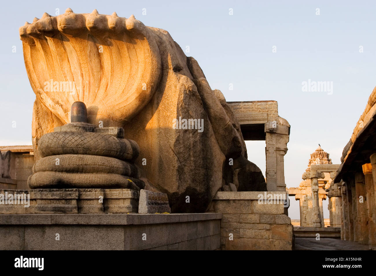 Multi-headed serpent Naga shading the shiva linga at the Veerabhadra Temple in Lepakshi, Andhra Pradesh, India Stock Photo