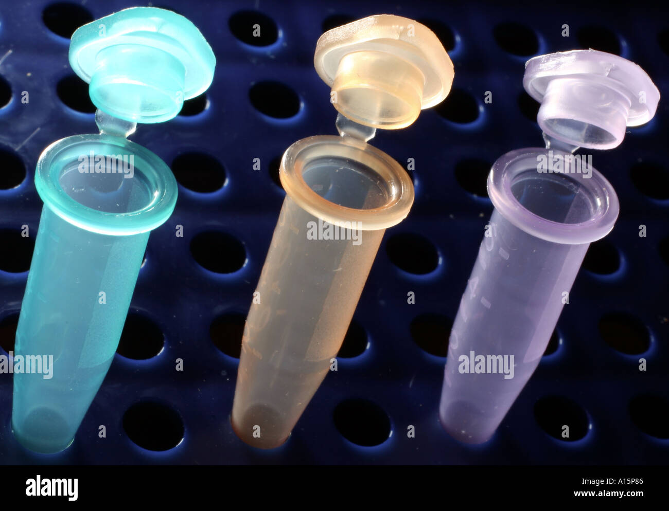 Sample tubes used in biology research Stock Photo Alamy