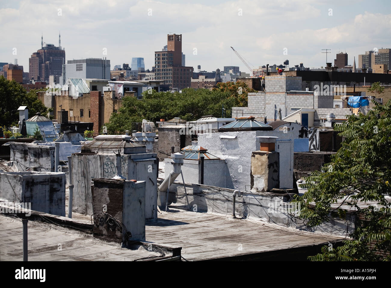 rooftops in New York City Stock Photo Alamy