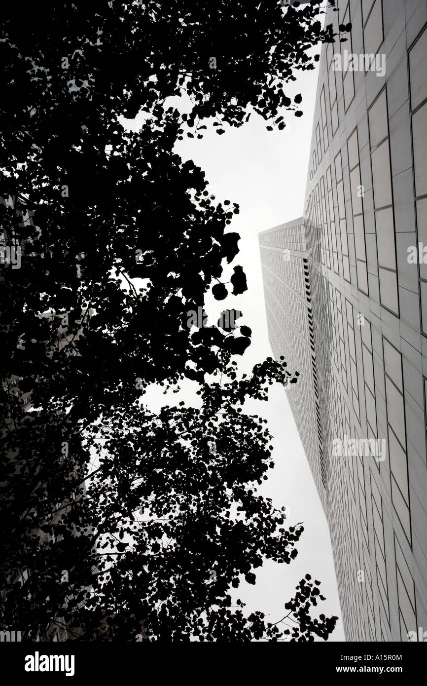 Office Building Stock Photo