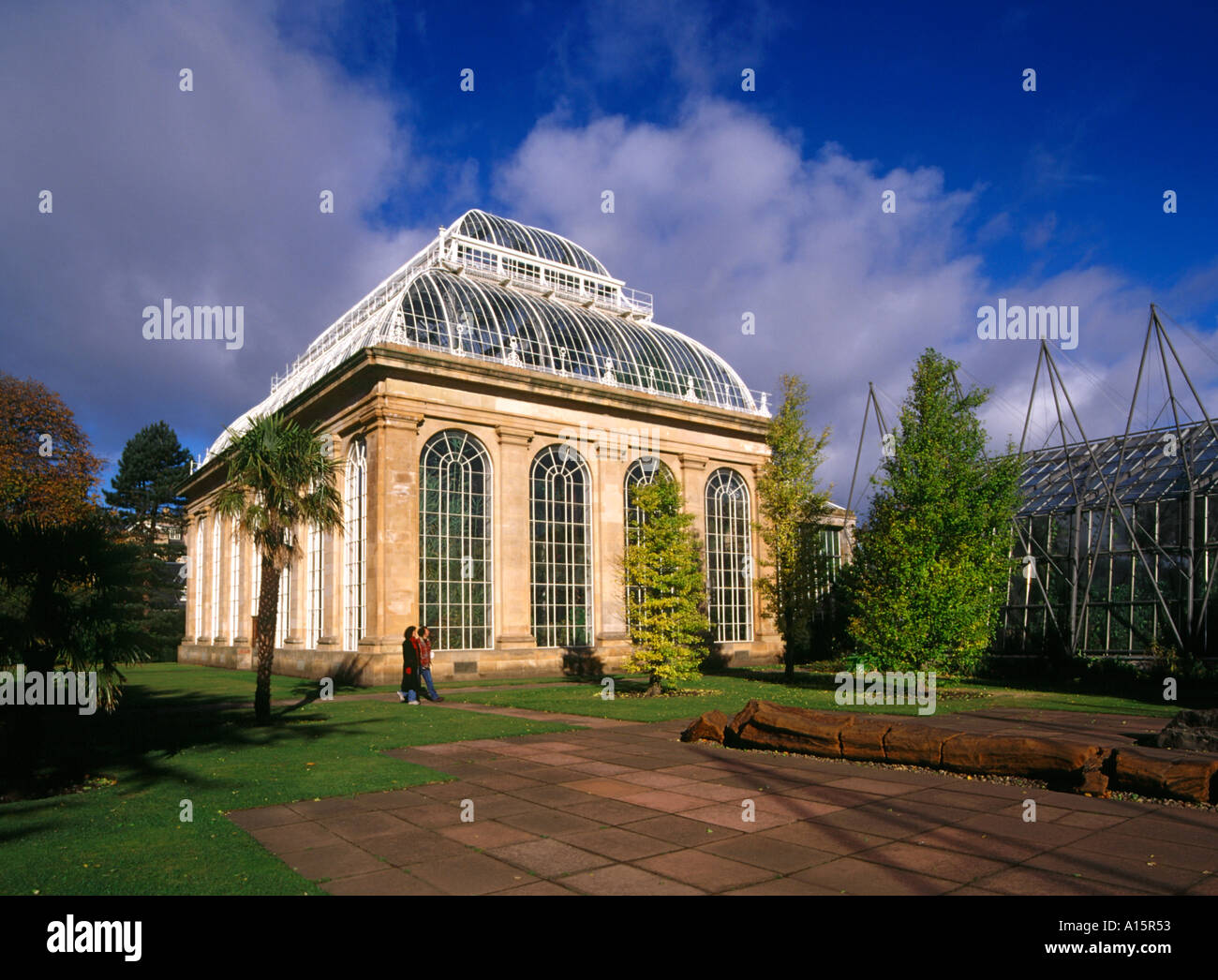 dh Botanical palm house ROYAL BOTANIC GARDEN EDINBURGH Couple tourists glasshouse gardens people Scotland Stock Photo