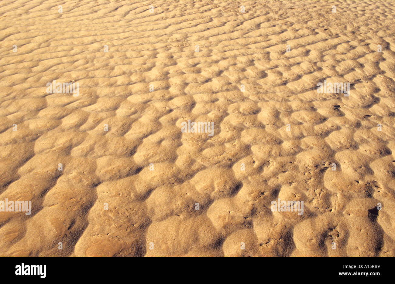 Desert landscape AZ Stock Photo