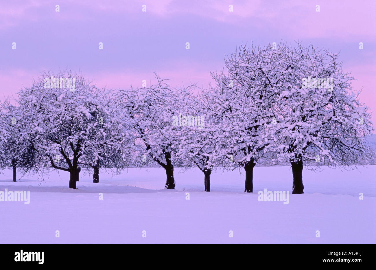 Nostalgic winter hi-res stock photography and images - Alamy