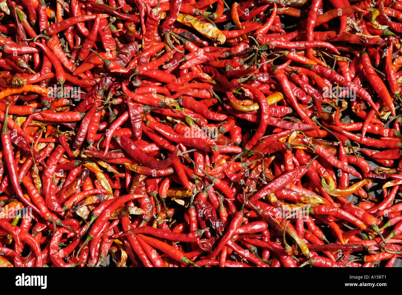 Sri Lanka  dry red pepper chilli chili peppers Stock Photo