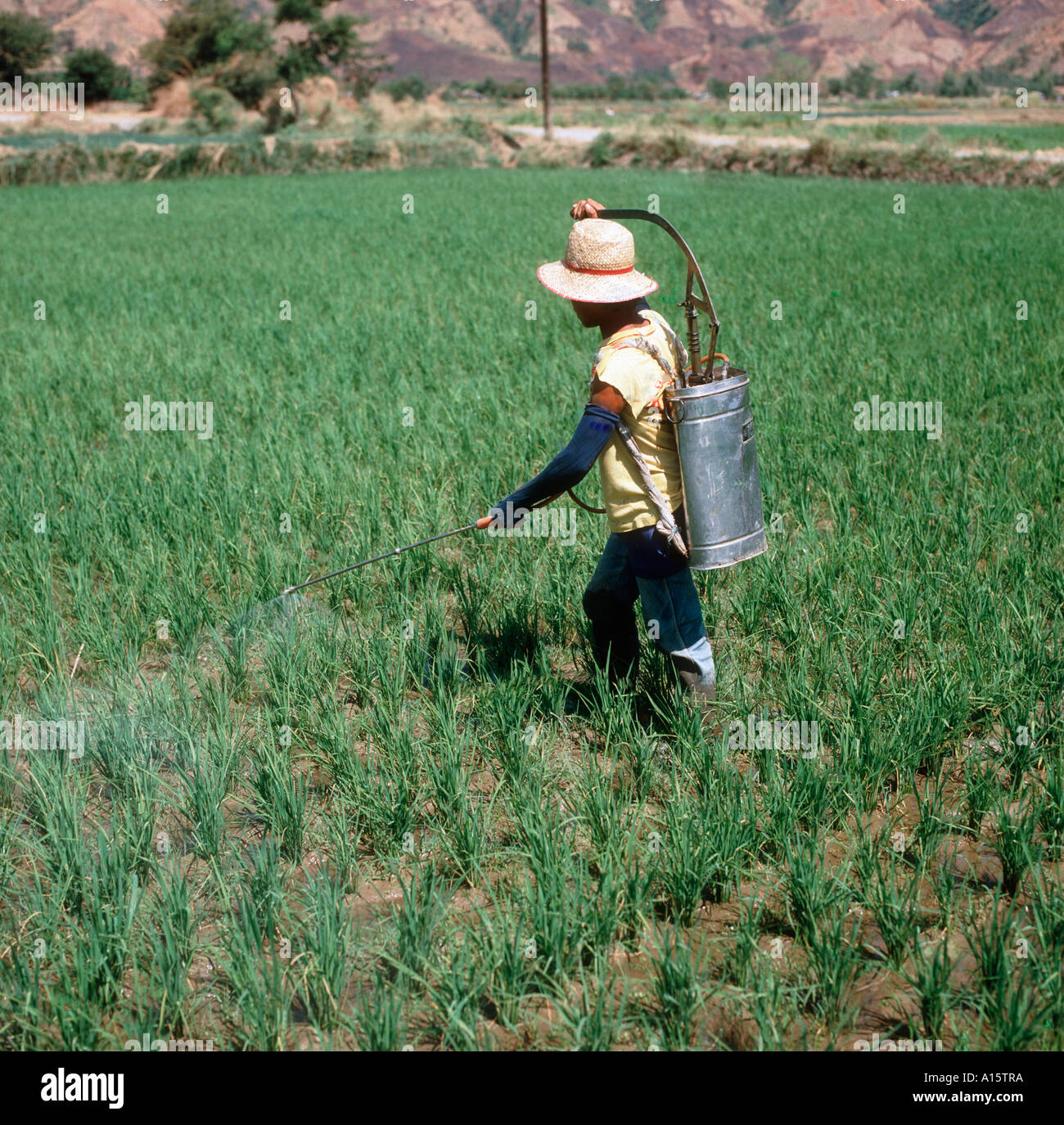 Man Knapsack Sprayer High Resolution Stock Photography And Images Alamy