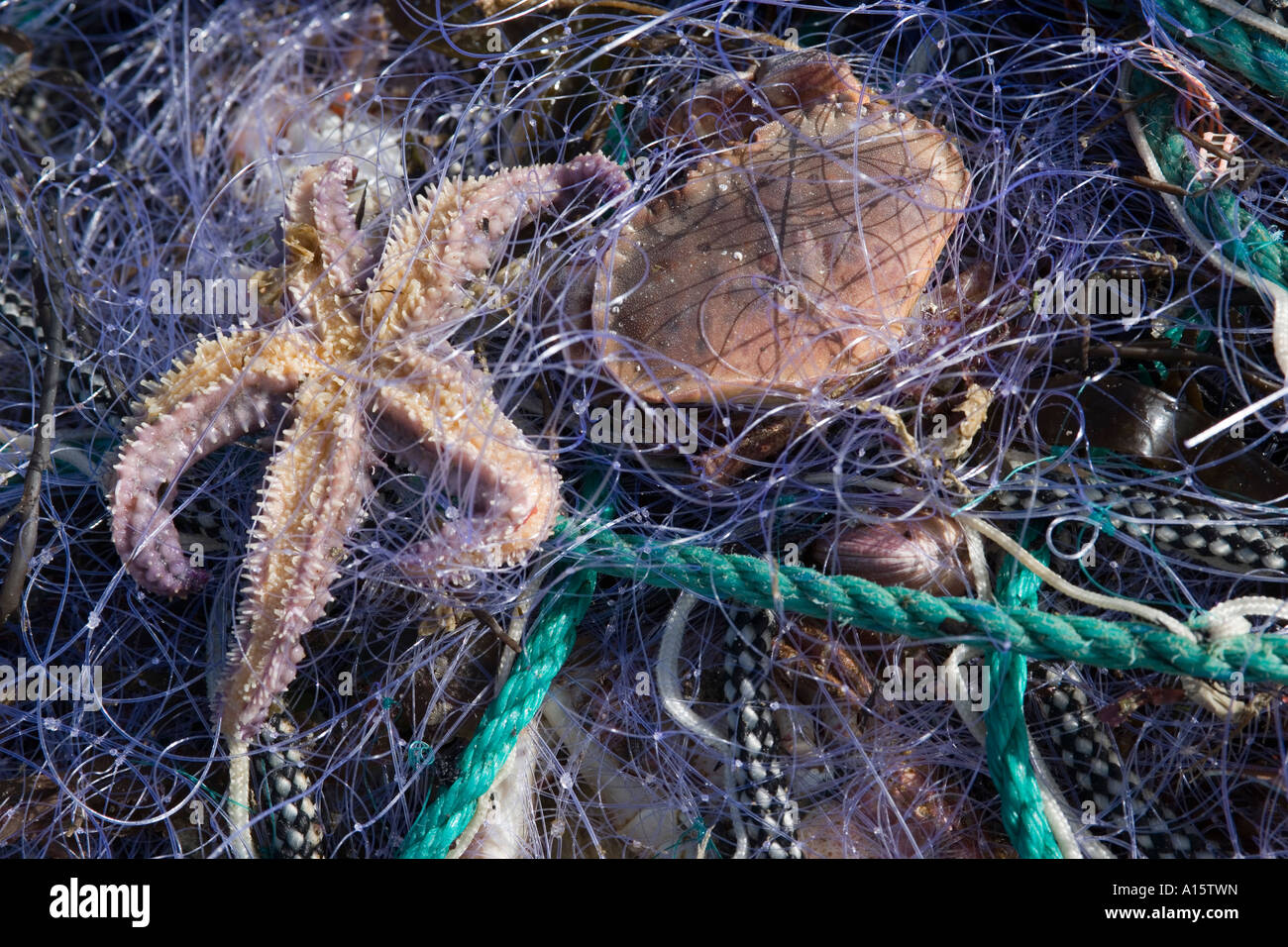 Fishing Brittany france Stock Photo Alamy