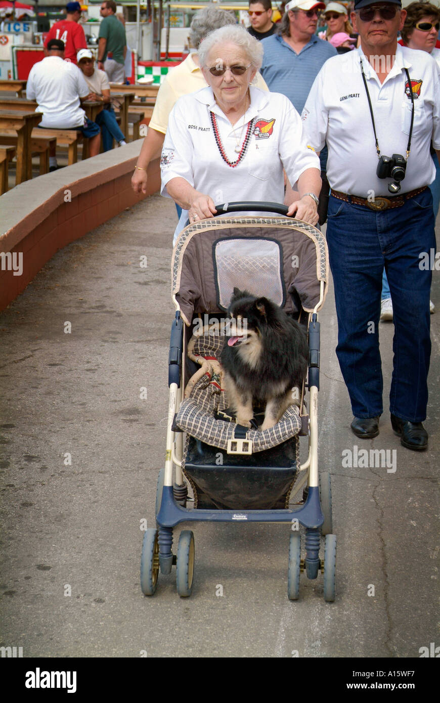baby pushing dog in stroller