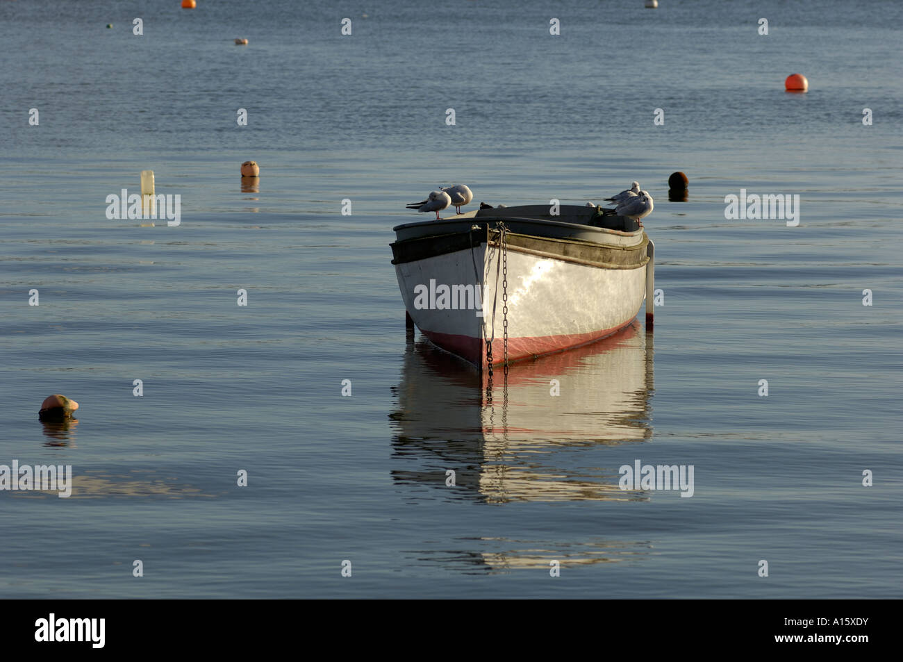 Boats of all shapes and descriptions in the waters around Plymouth, United Kingdom. Stock Photo