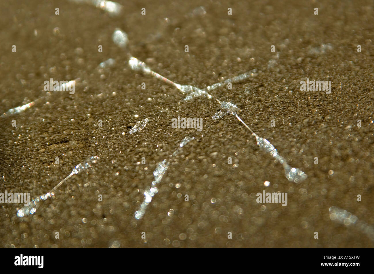 Horizontal abstract close up of slimy snail trails creating a criss cross pattern on a garden path. Stock Photo