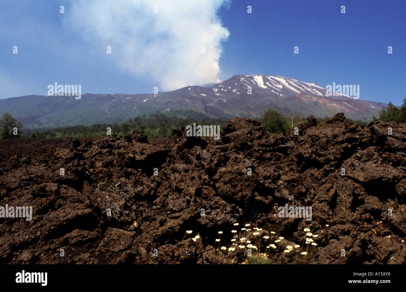 The lava flow of the Tolbachik Volcano, Mount Kamen and Klyuchevskaya Sopka The lava flow of the Tolbachik Volcano, Mount Kamen and Klyuchevskaya Sopka