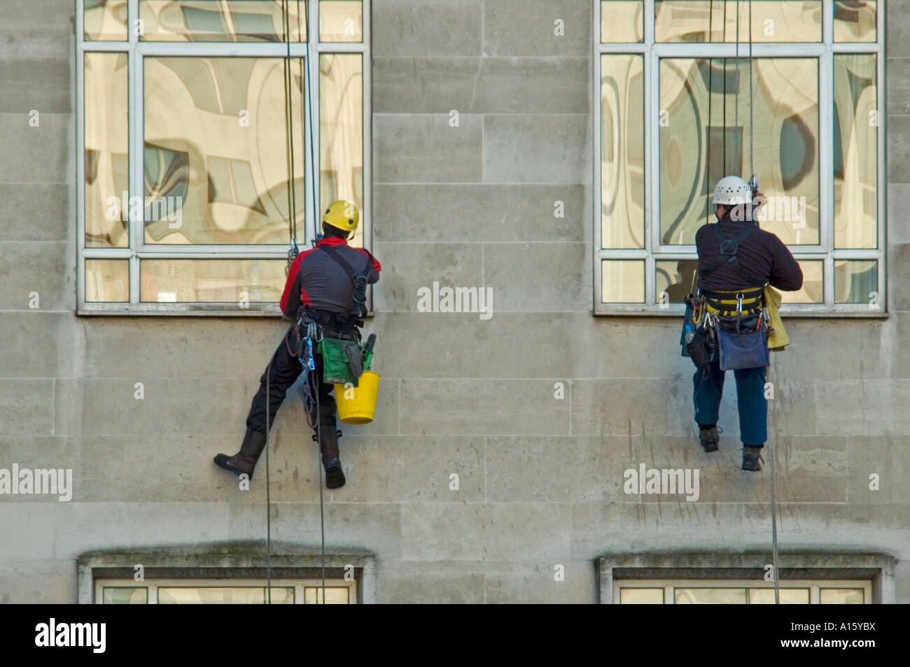 Horizontal close up portrait of two window cleaners suspended from