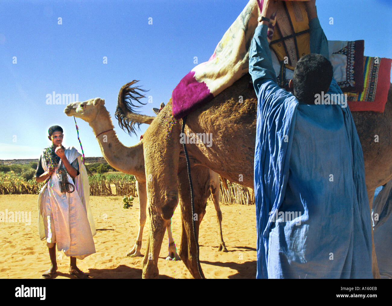 Men prepare to ride a camel to a nearby village in the Affole region of ...