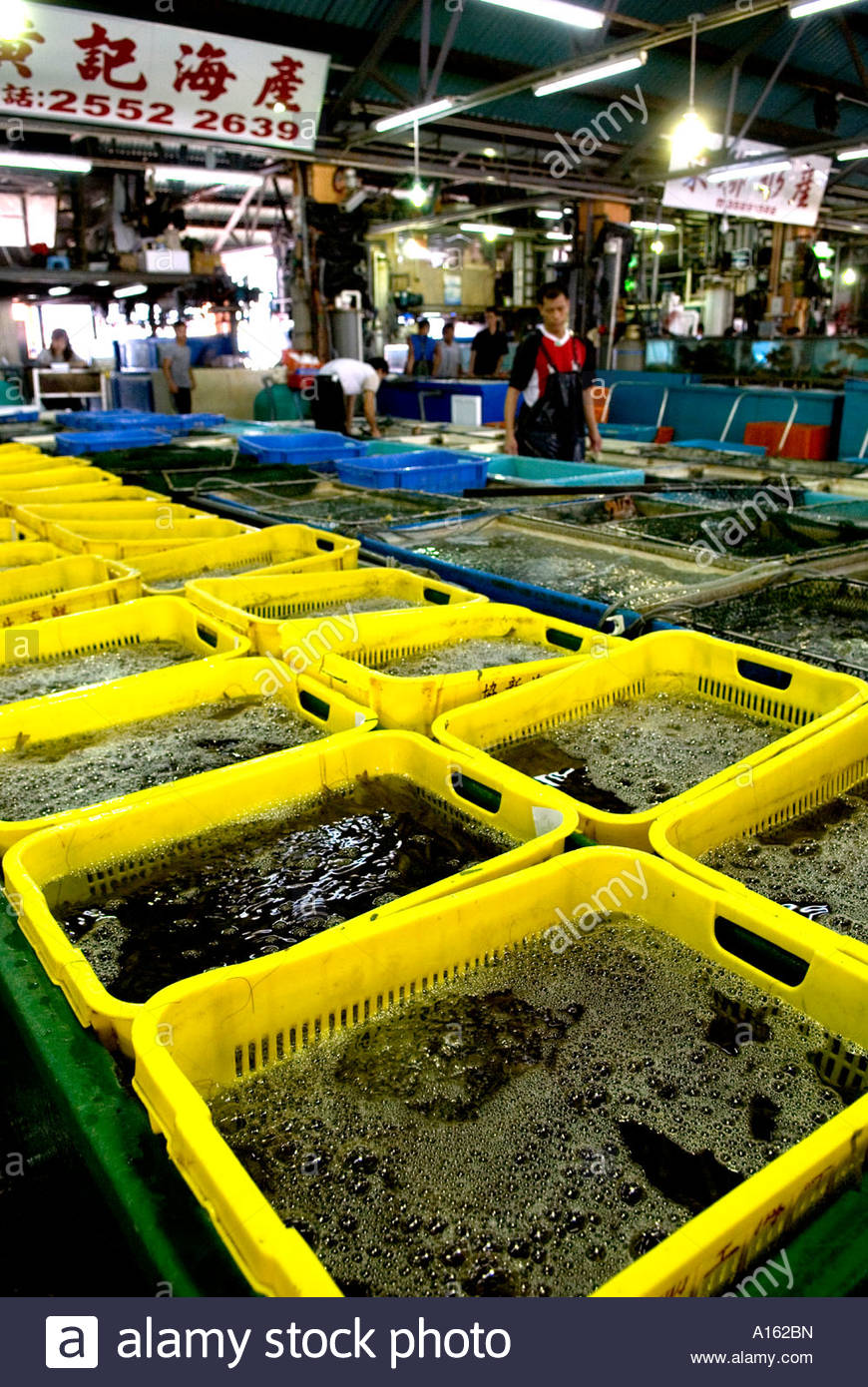 Aberdeen Wholesale Fish Market Stock Photos & Aberdeen Wholesale Fish