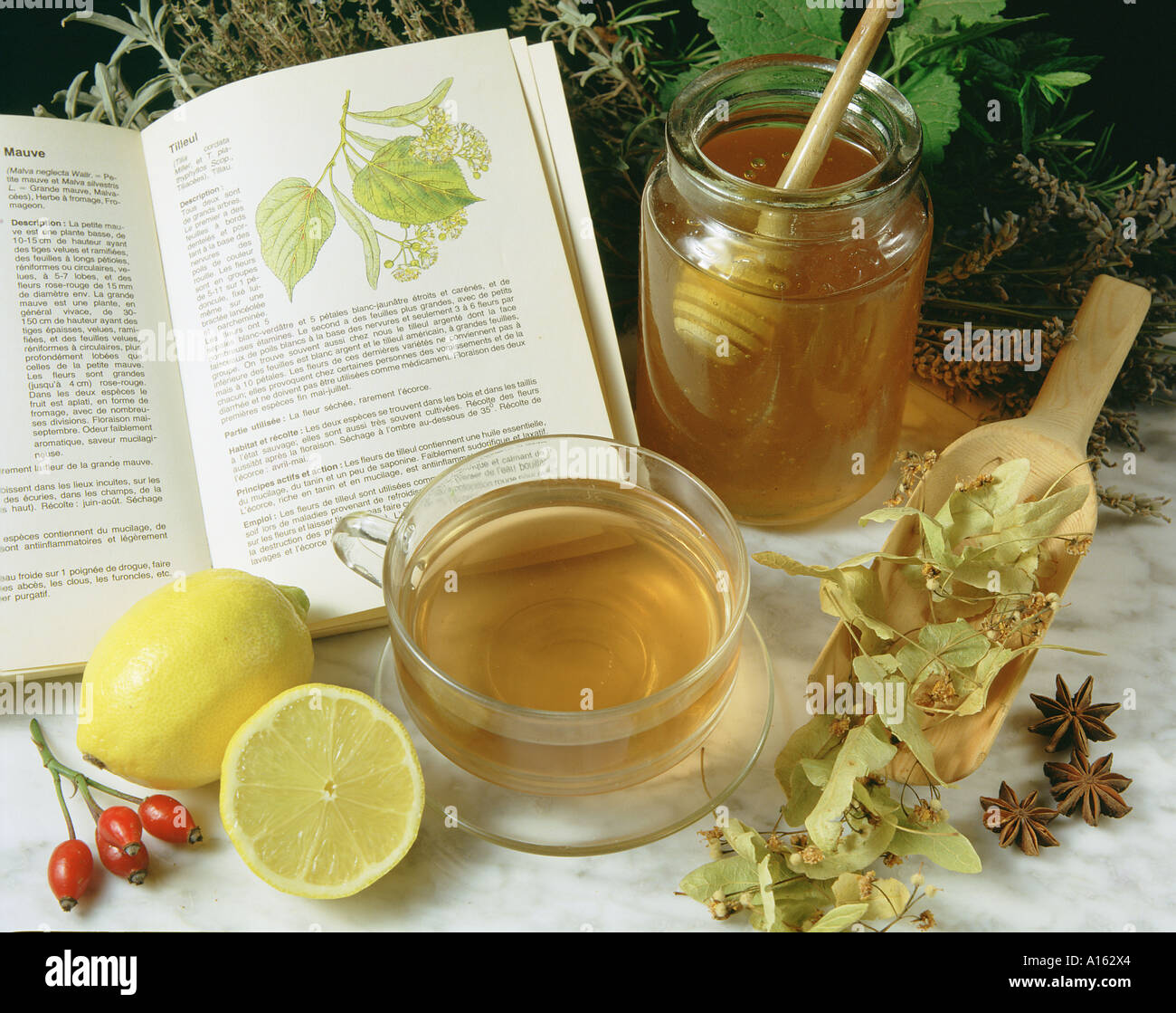 Lime tree infusion Stock Photo Alamy