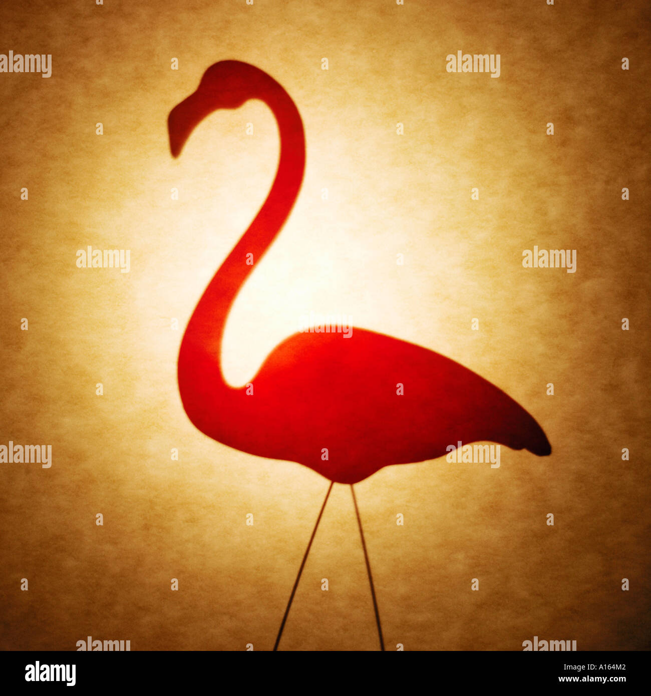 Flamingo Silhouette Stock Photo
