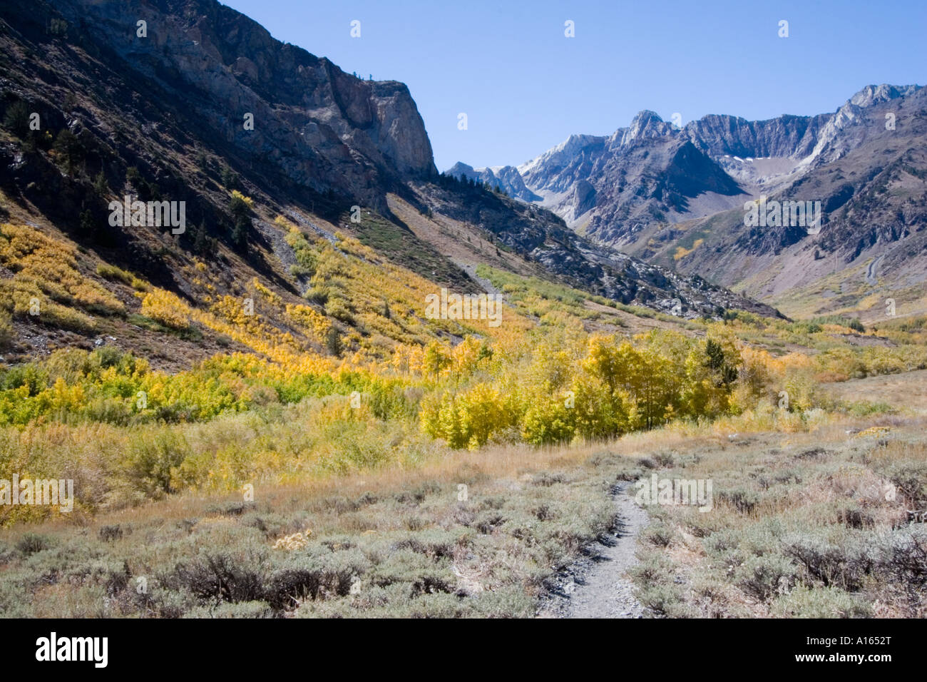 Digital stock image of fall foliage and mountains at McGee Creek Canyon in eastern Sierra Nevada mountains Stock Photo
