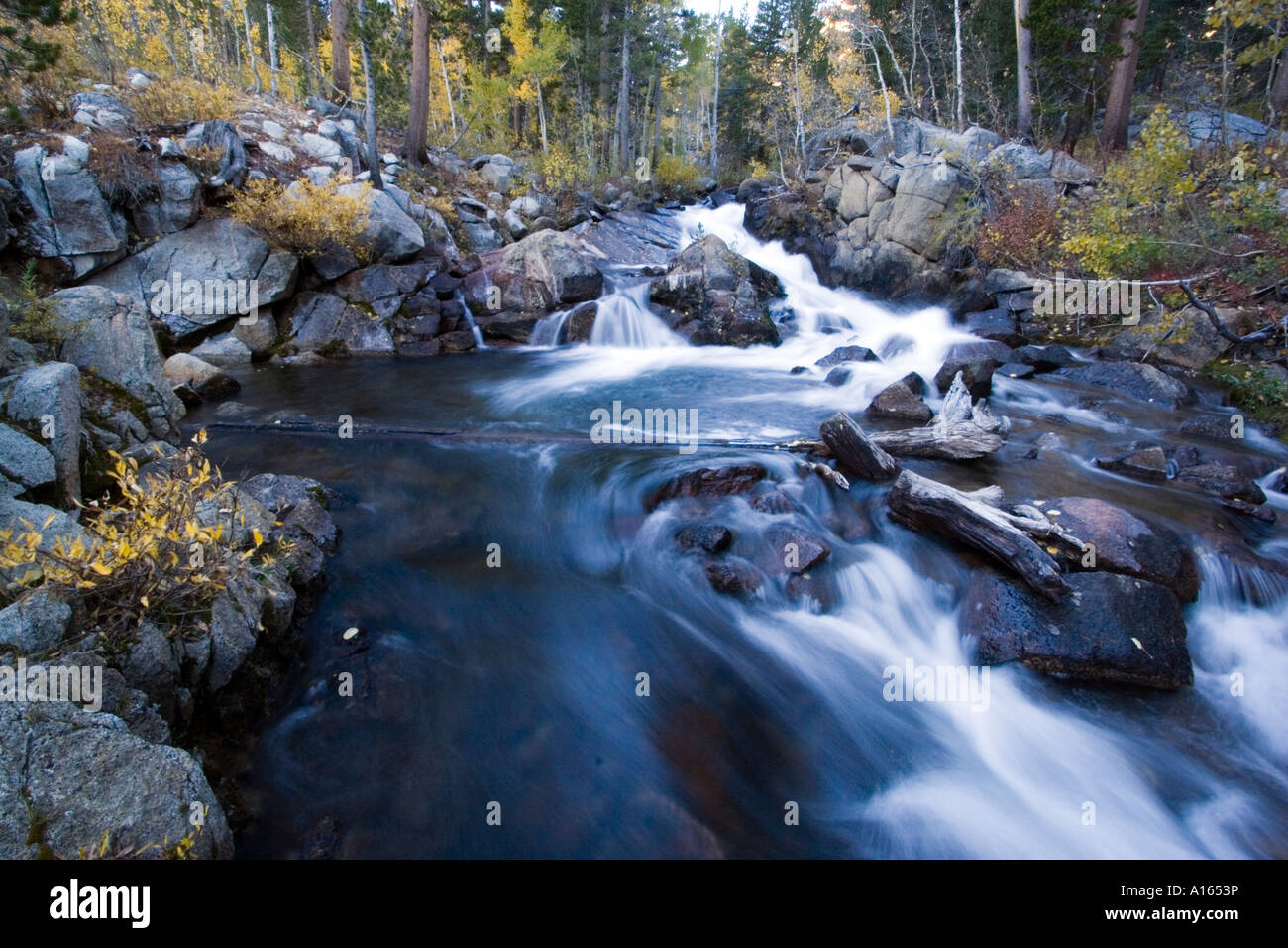 Digital stock image of tree lined Bishop Creek east of Sabrina Lake in eastern Sierra Nevada during autumn fall season Stock Photo