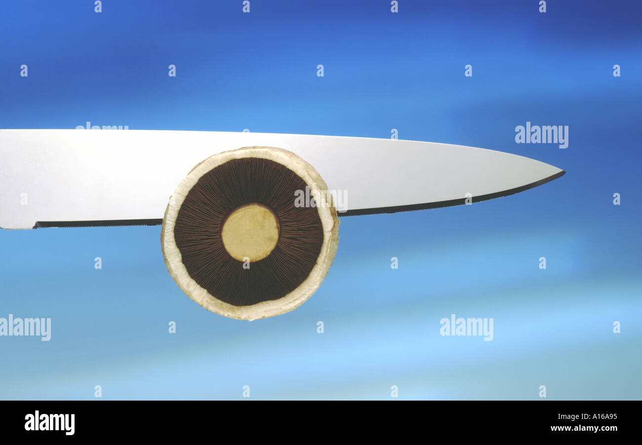 Aviation catering Stock Photo