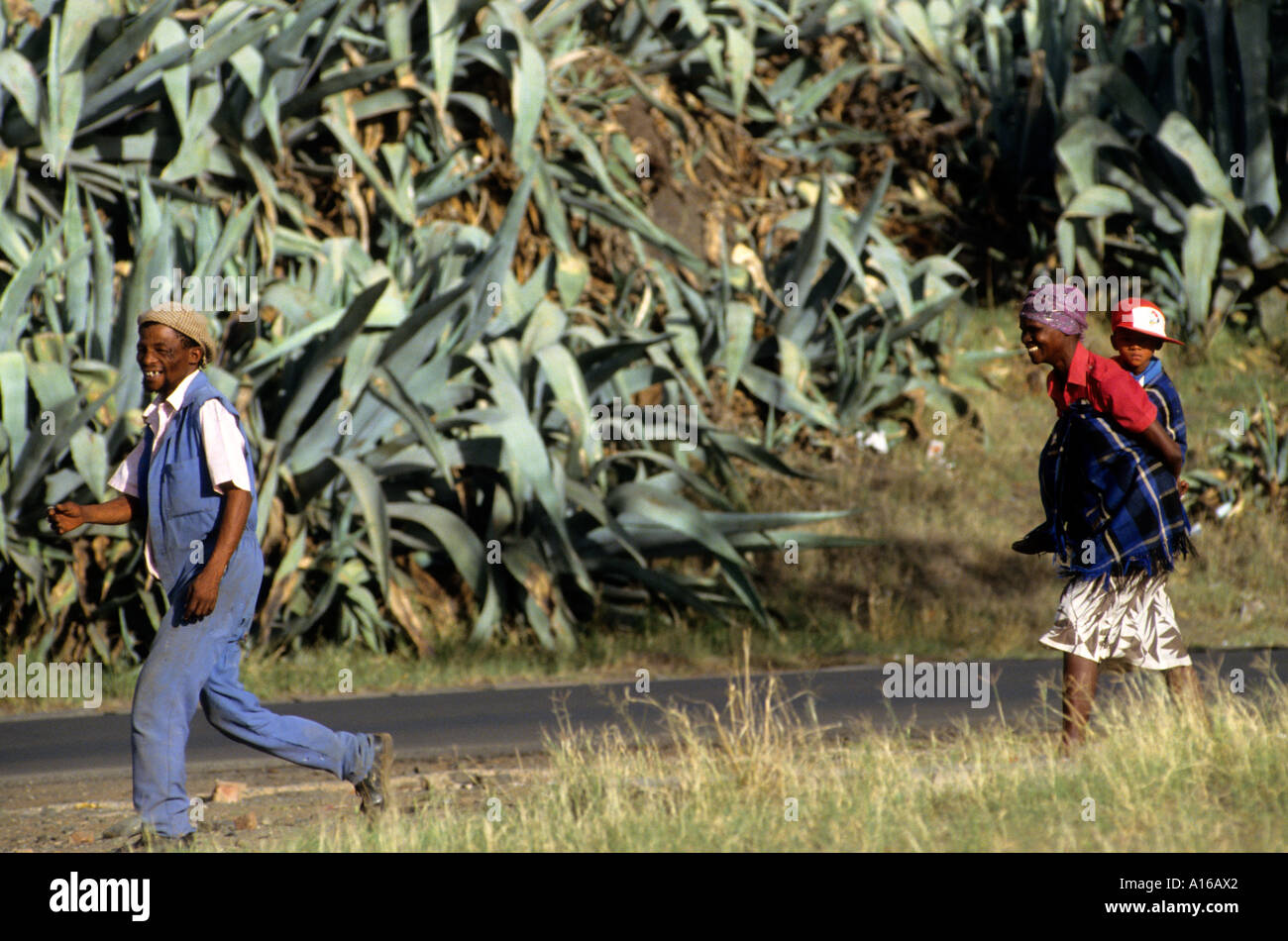 Cape Town Alexandra Township South Africa poverty Stock Photo - Alamy