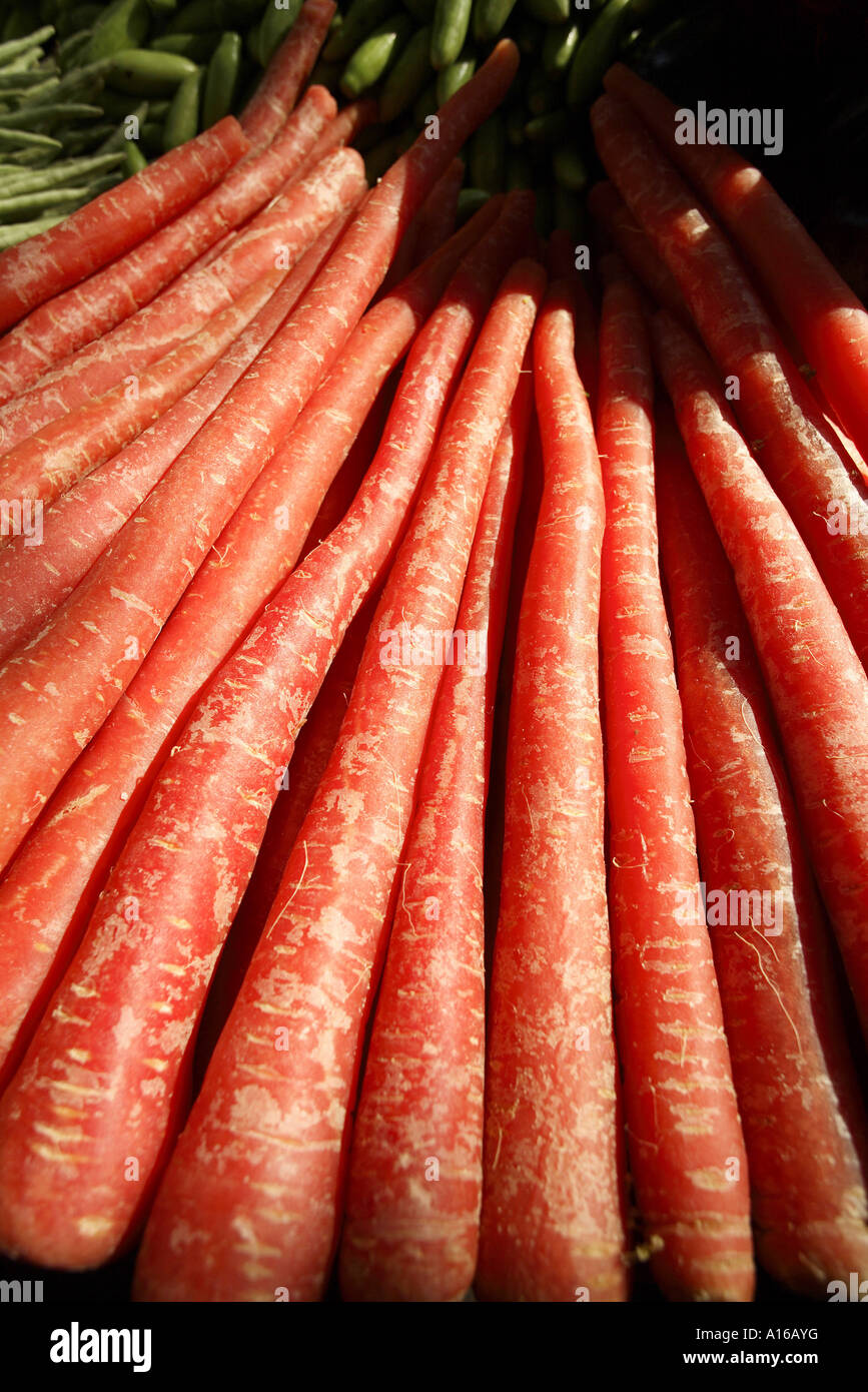 RSC101950 Fresh vegetable carrots Bombay Mumbai Maharashtra India Stock