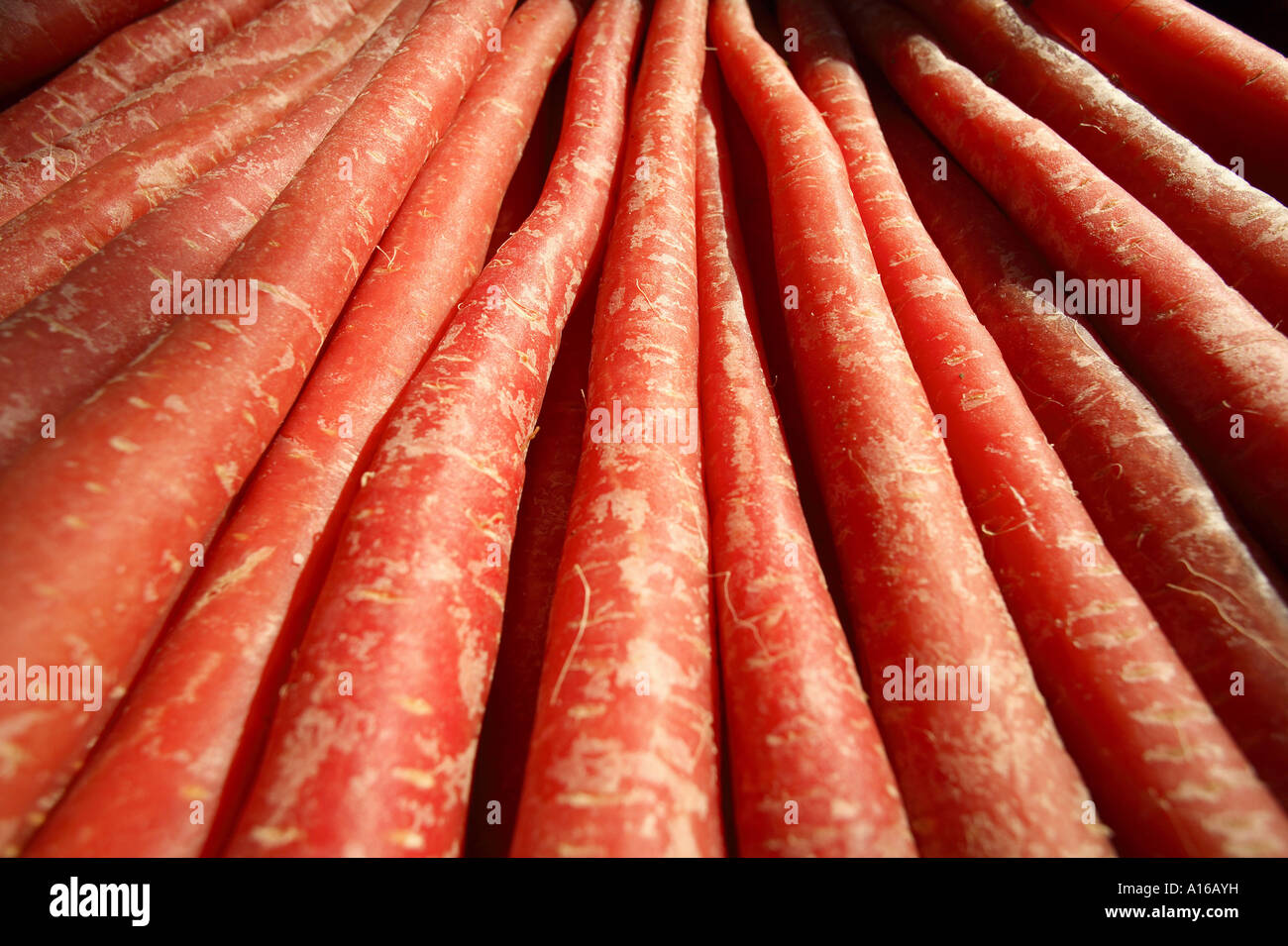 RSC101951 Fresh vegetable carrots Bombay Mumbai Maharashtra India Stock