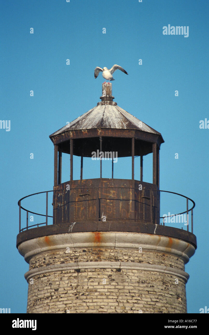 Old lighthouse with sea gull Stock Photo