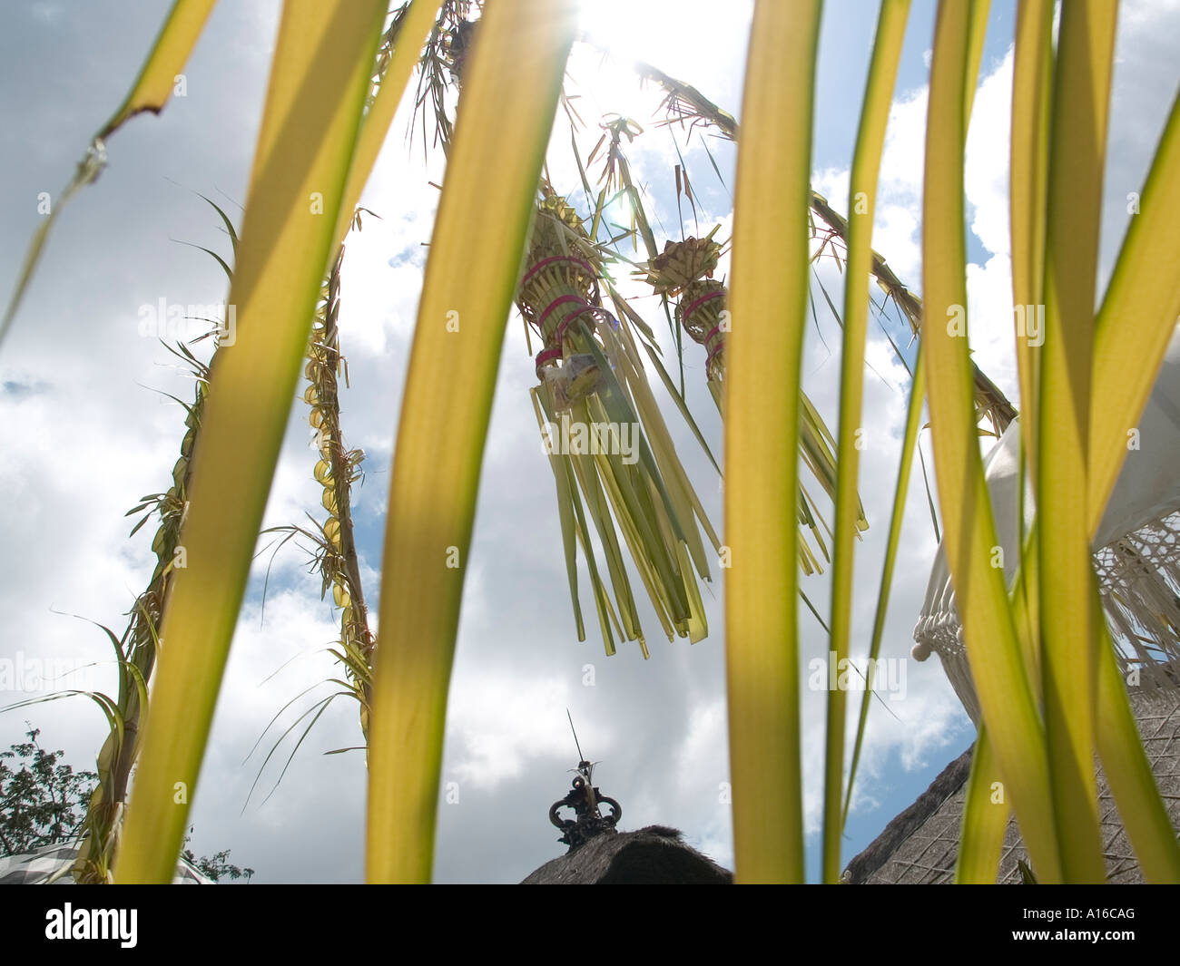 Temple shrine decoration during a feast day showing bamboo poles called penjors in Bali Indonesia Stock Photo
