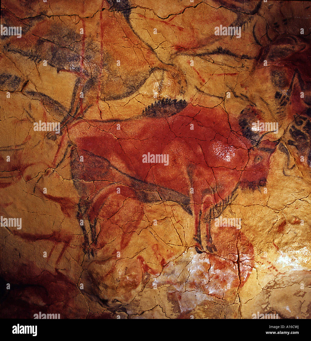 Bison Painting of the Altamira cave Santander Cantabria Spain Stock Photo
