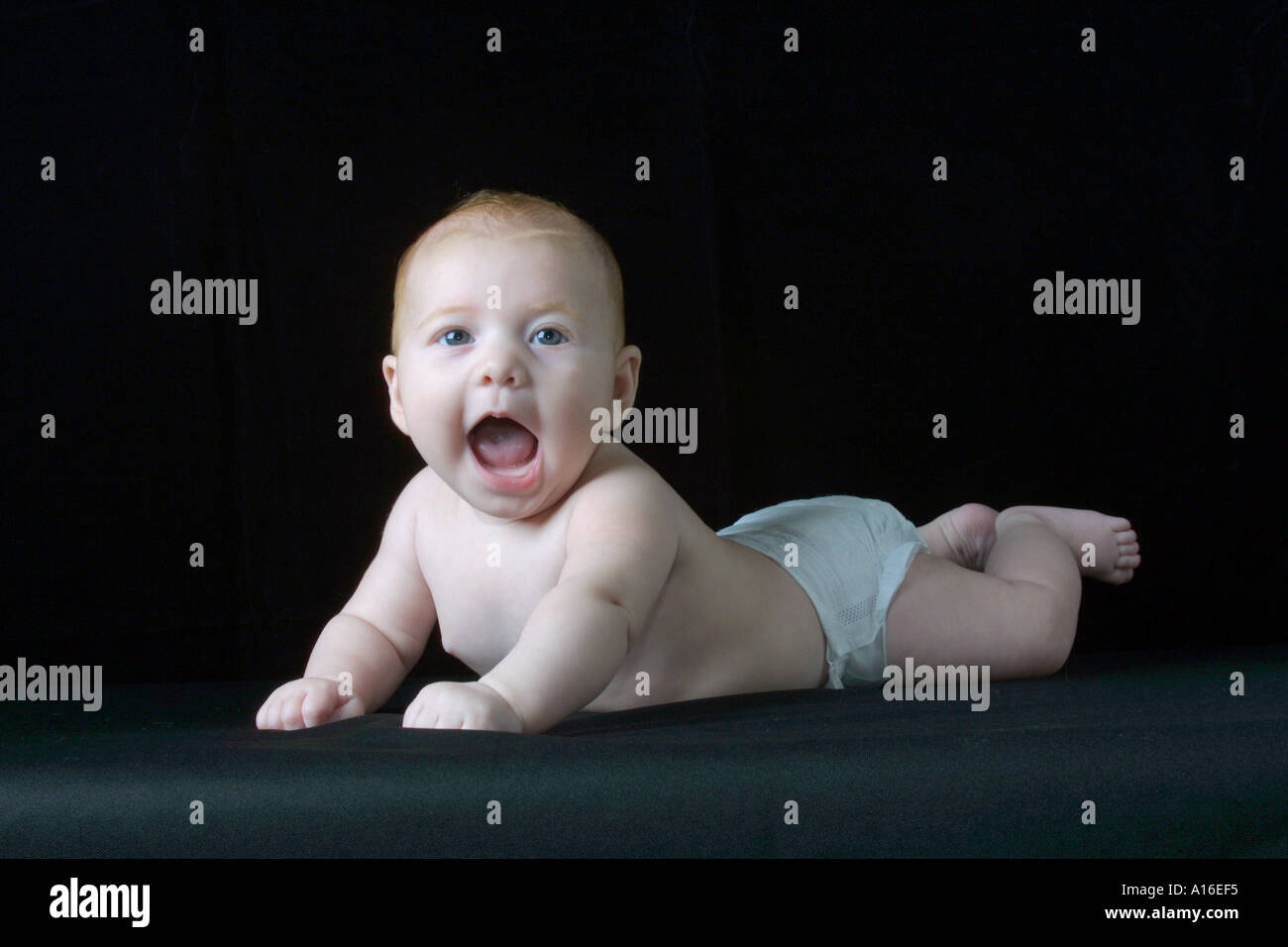 baby girl wearing diaper on black velvet background Stock Photo