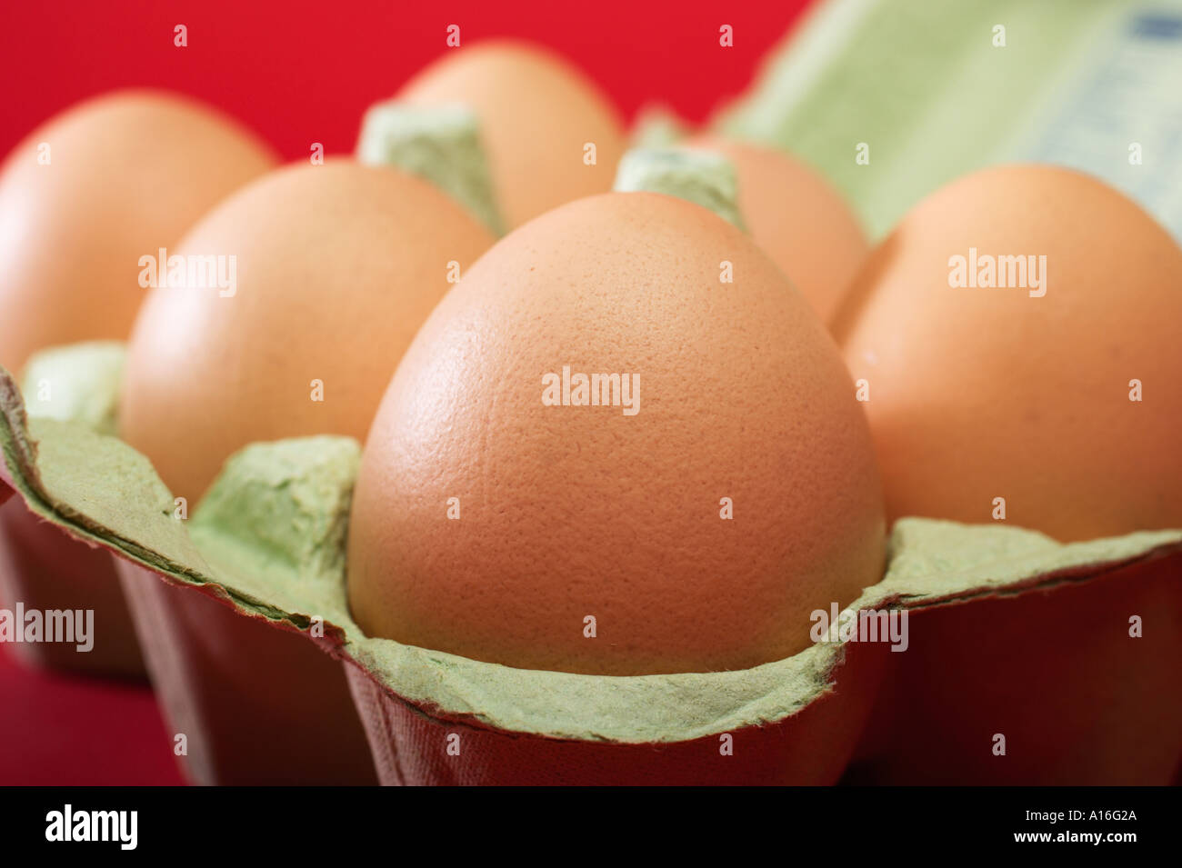Eggs in eggbox Stock Photo