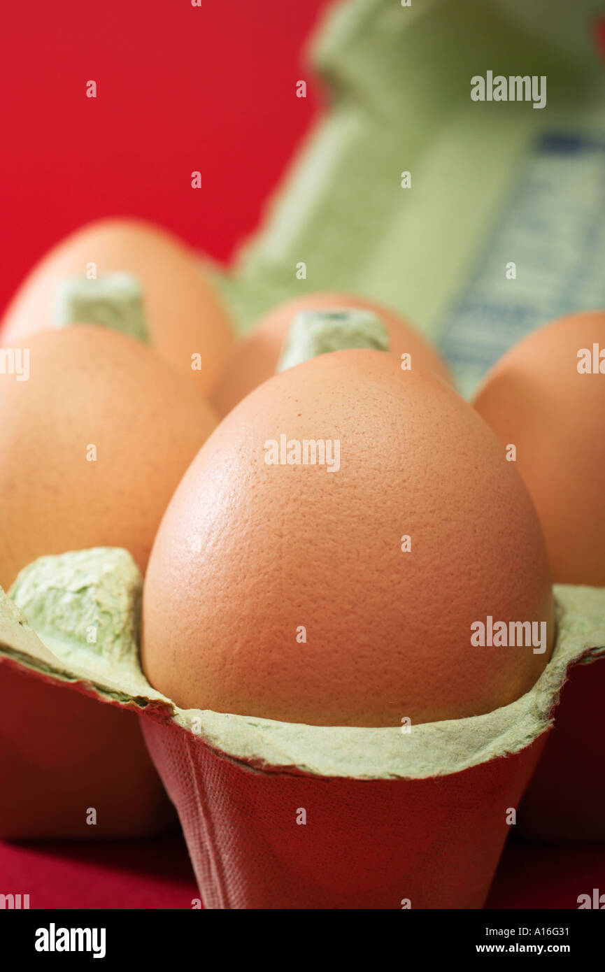 Eggs in eggbox Stock Photo