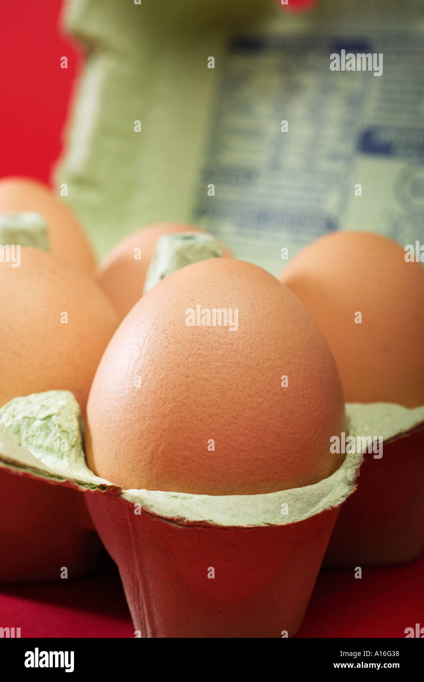 Eggs in eggbox Stock Photo