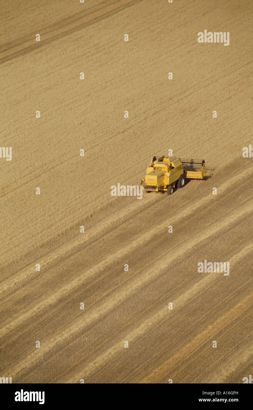 aerial view of combine harvester Stock Photo