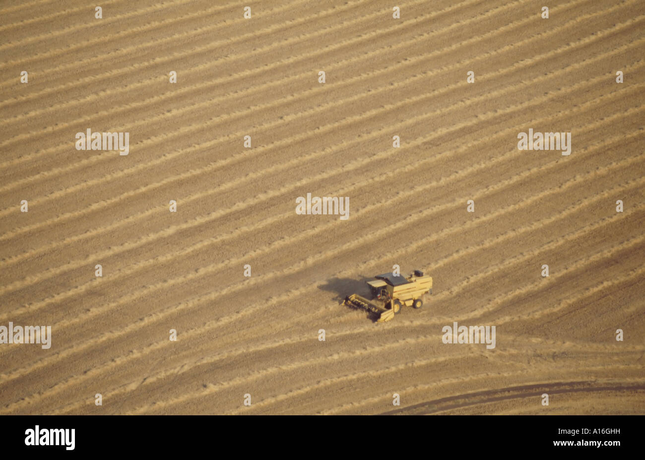 aerial view of combine harvester in wheat field Stock Photo - Alamy