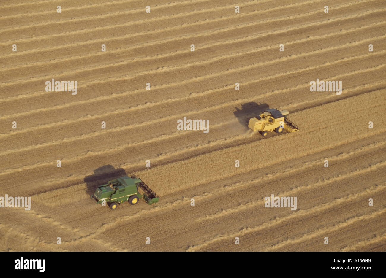 aerial view of two combine harvesters in wheat field Stock Photo - Alamy