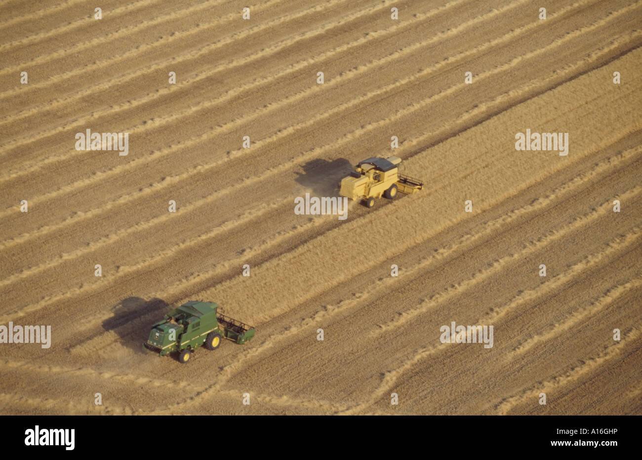 aerial view of two combine harvesters in wheat field Stock Photo - Alamy