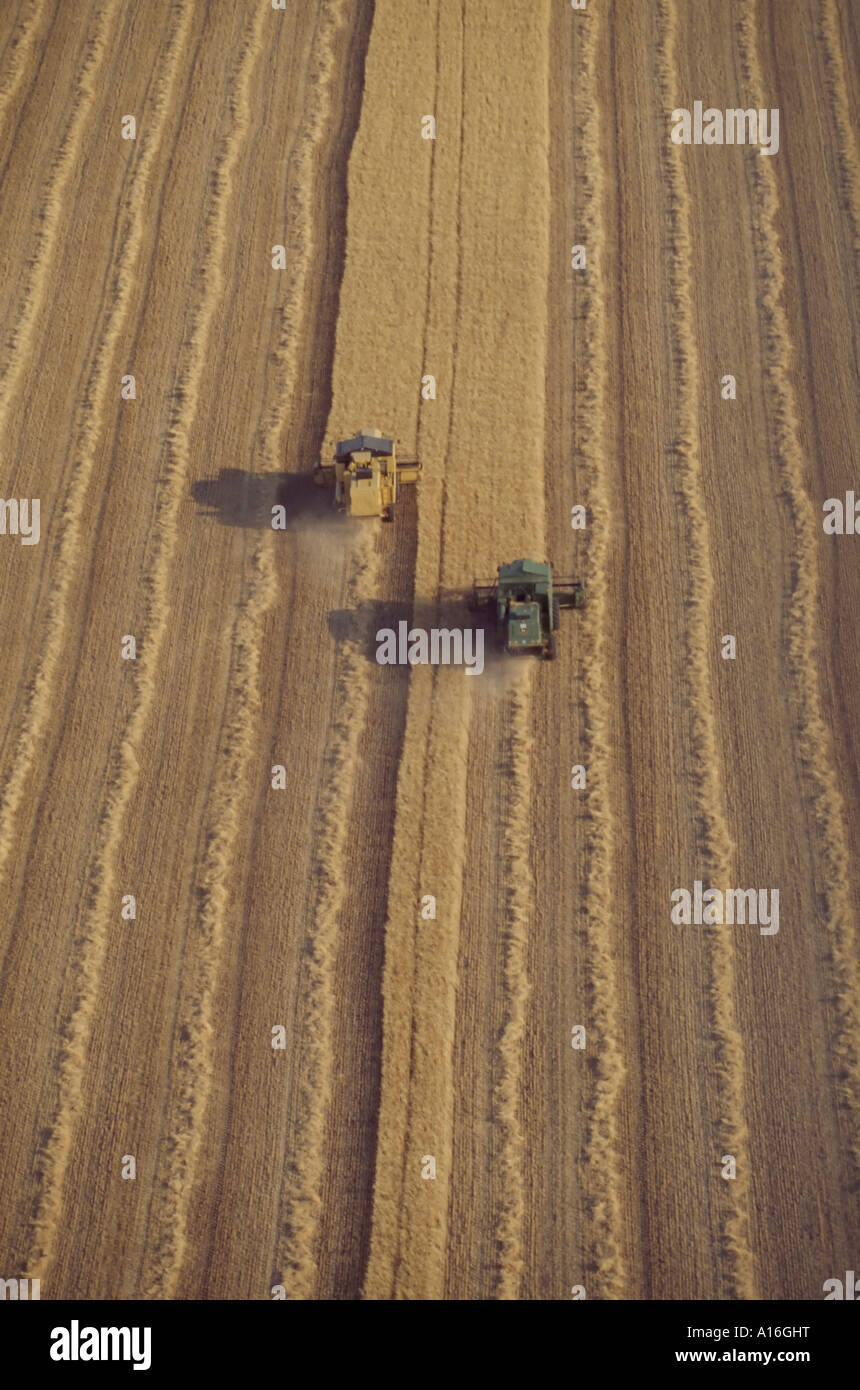 aerial view of two combine harvesters in wheat field Stock Photo - Alamy