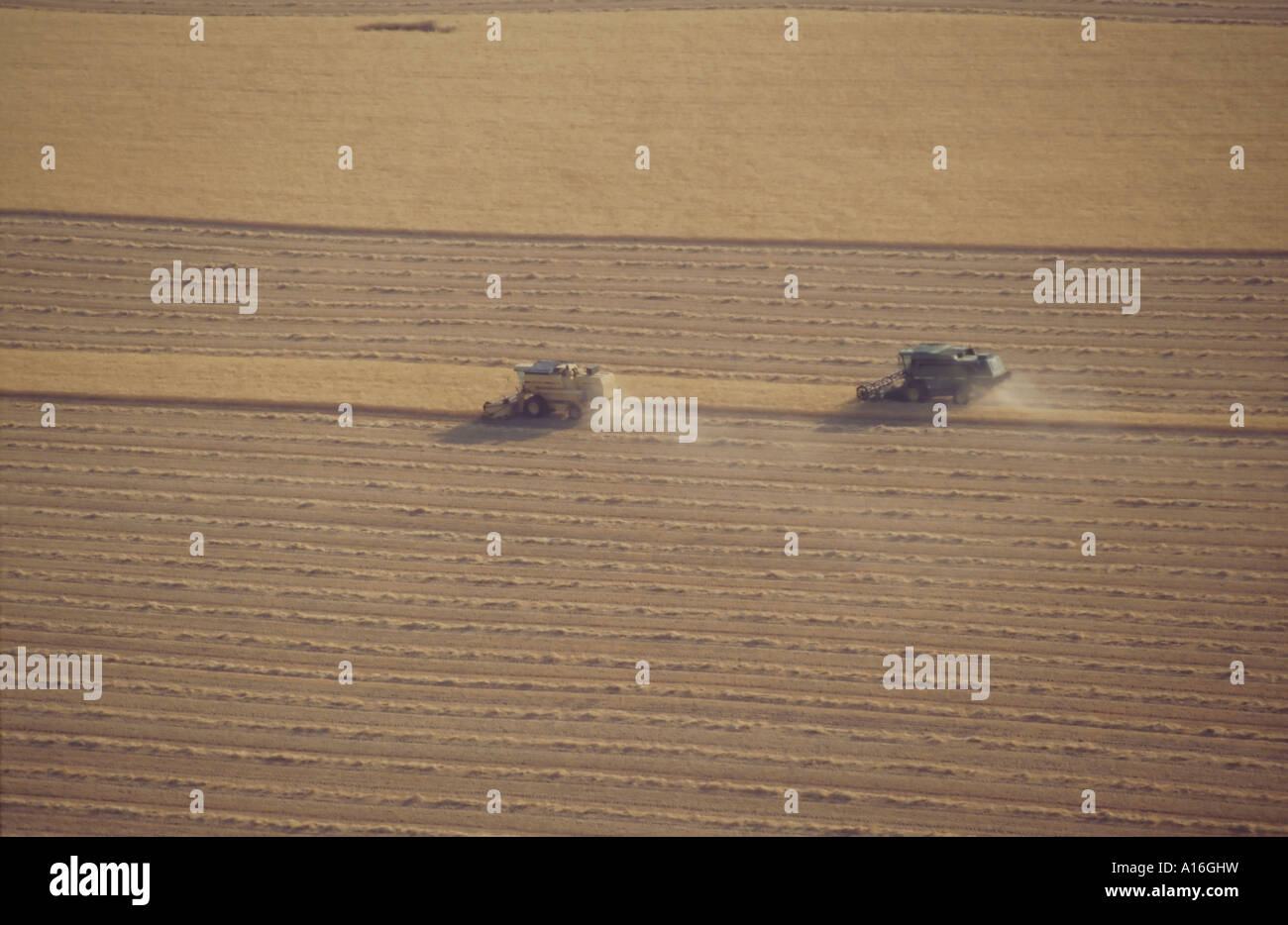 aerial view of two combine harvesters in wheat field Stock Photo - Alamy