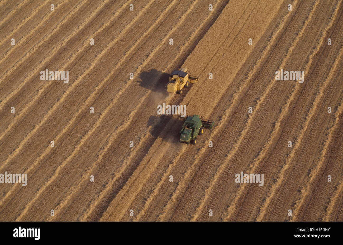 aerial view of two combine harvesters in wheat field Stock Photo - Alamy