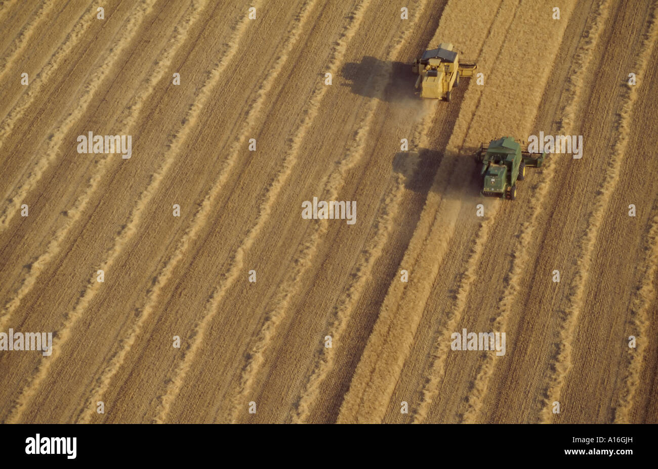 aerial view of two combine harvesters in wheat field Stock Photo - Alamy