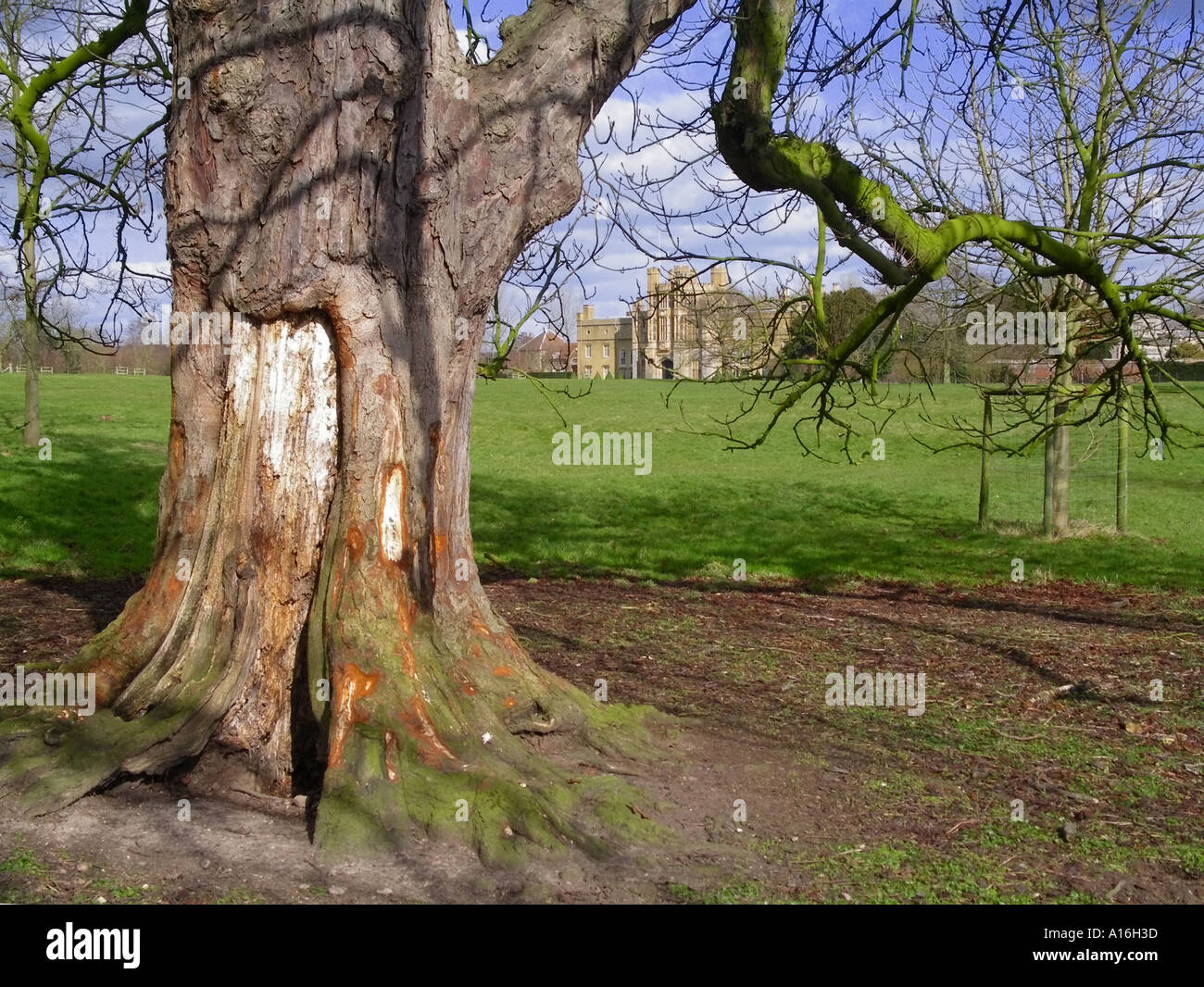 Throckmorton hi-res stock photography and images - Page 2 - Alamy