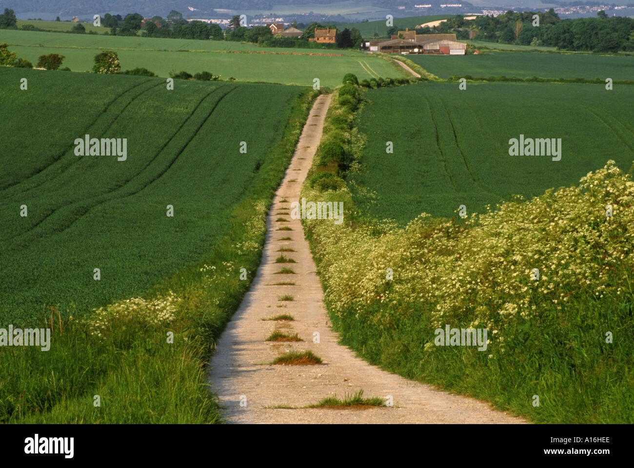 Long distance footpath kent hi-res stock photography and images - Alamy