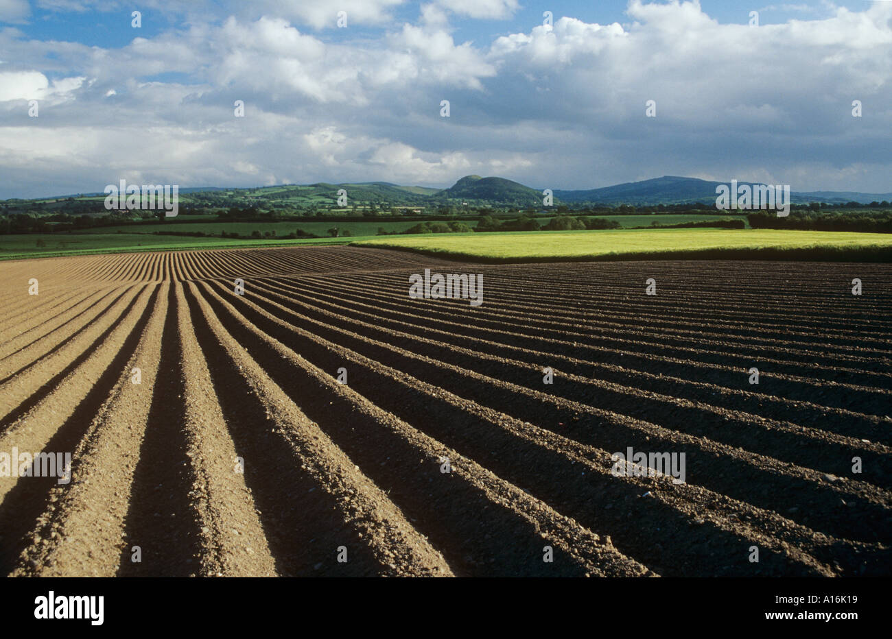 Ploughed field near Cruckton Shropshire Stock Photo