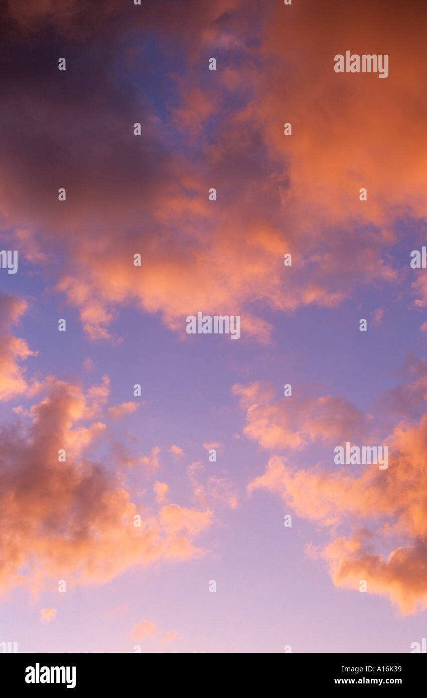 Fluffy pink clouds in a blue sky Stock Photo