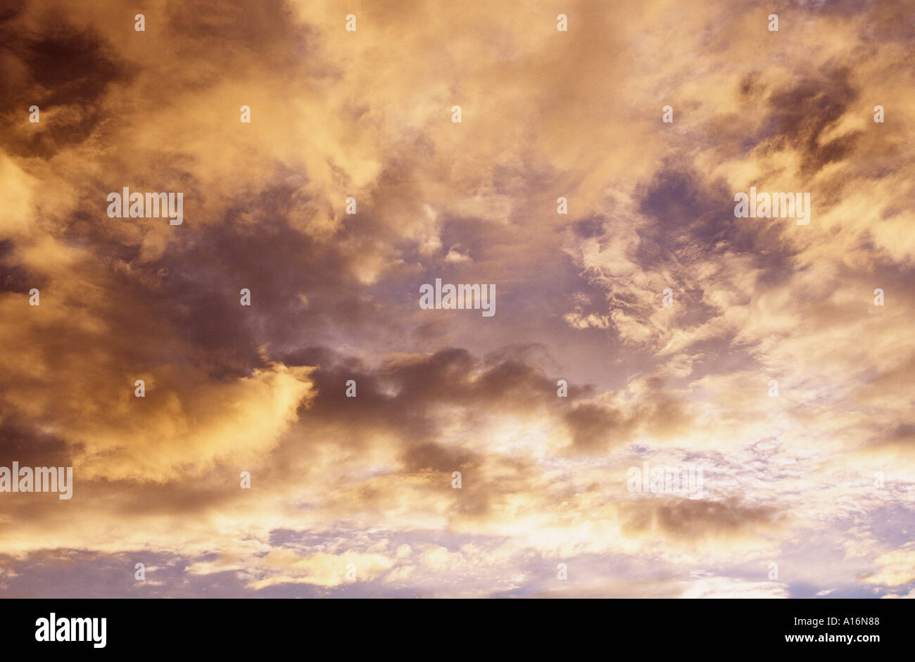 Wispy clouds lit by evening sun Stock Photo