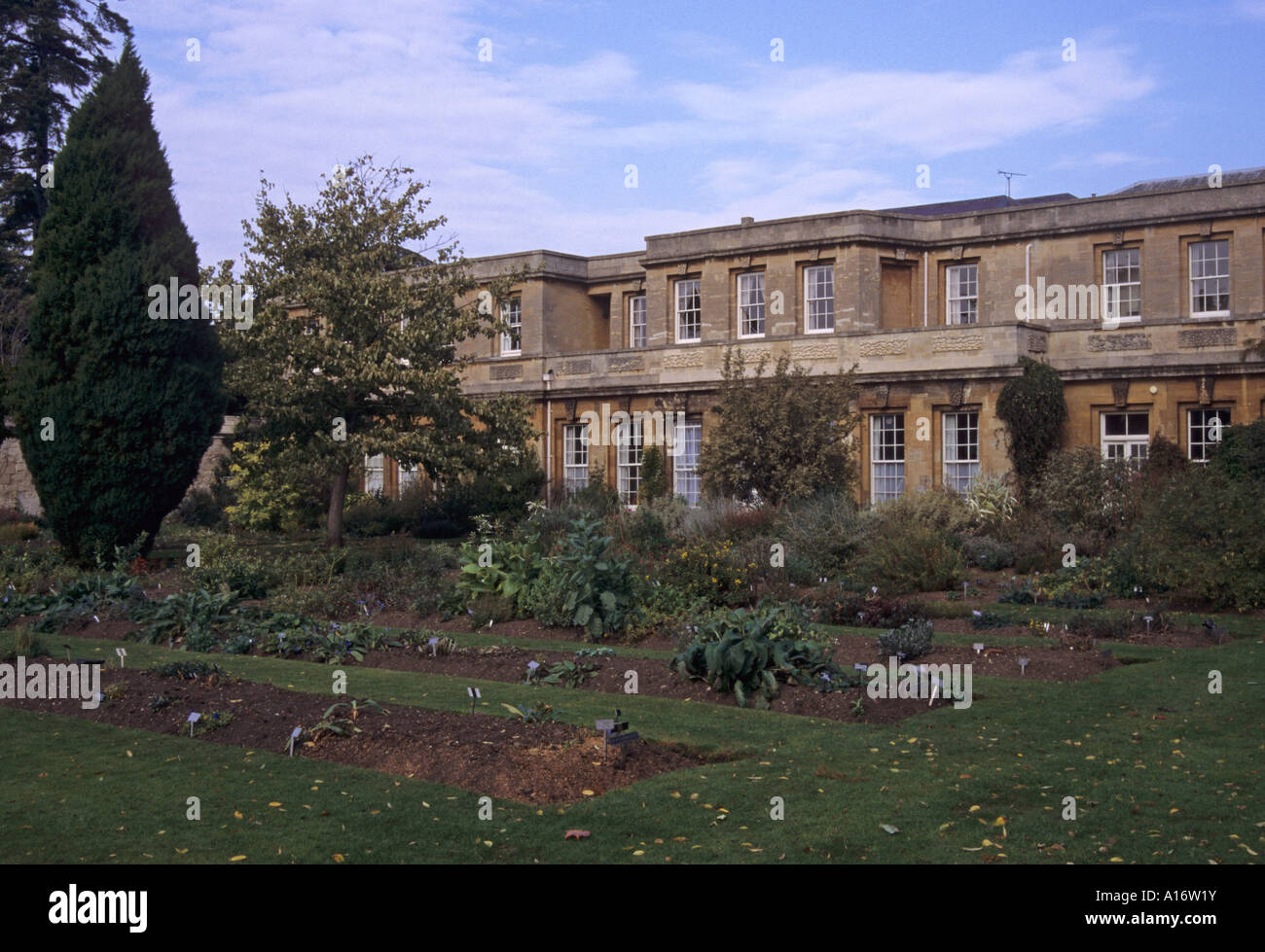 medicinal garden in the Botanic gardens in Oxford United Kingdom Stock Photo