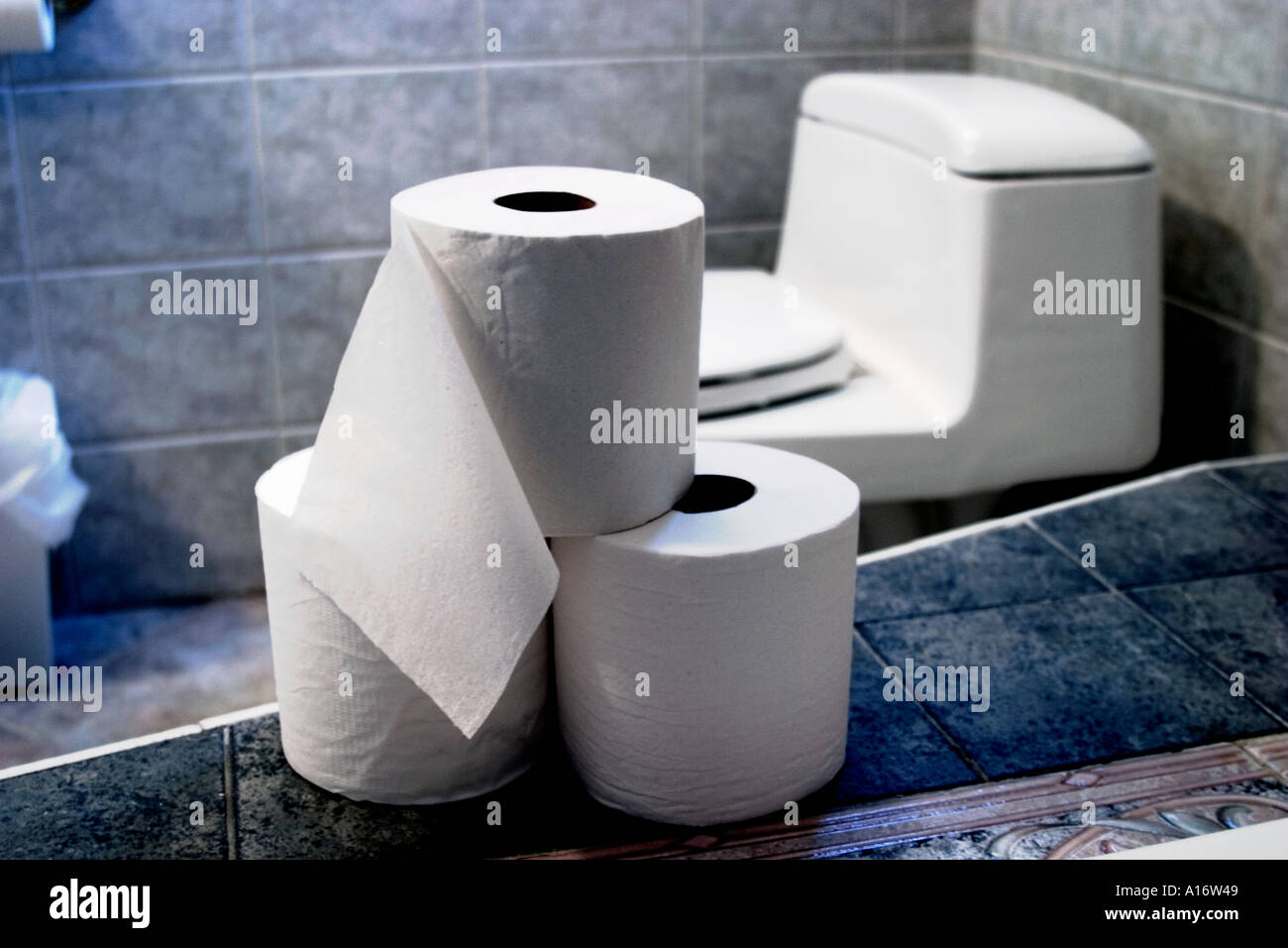 rolls of toilet paper Stock Photo