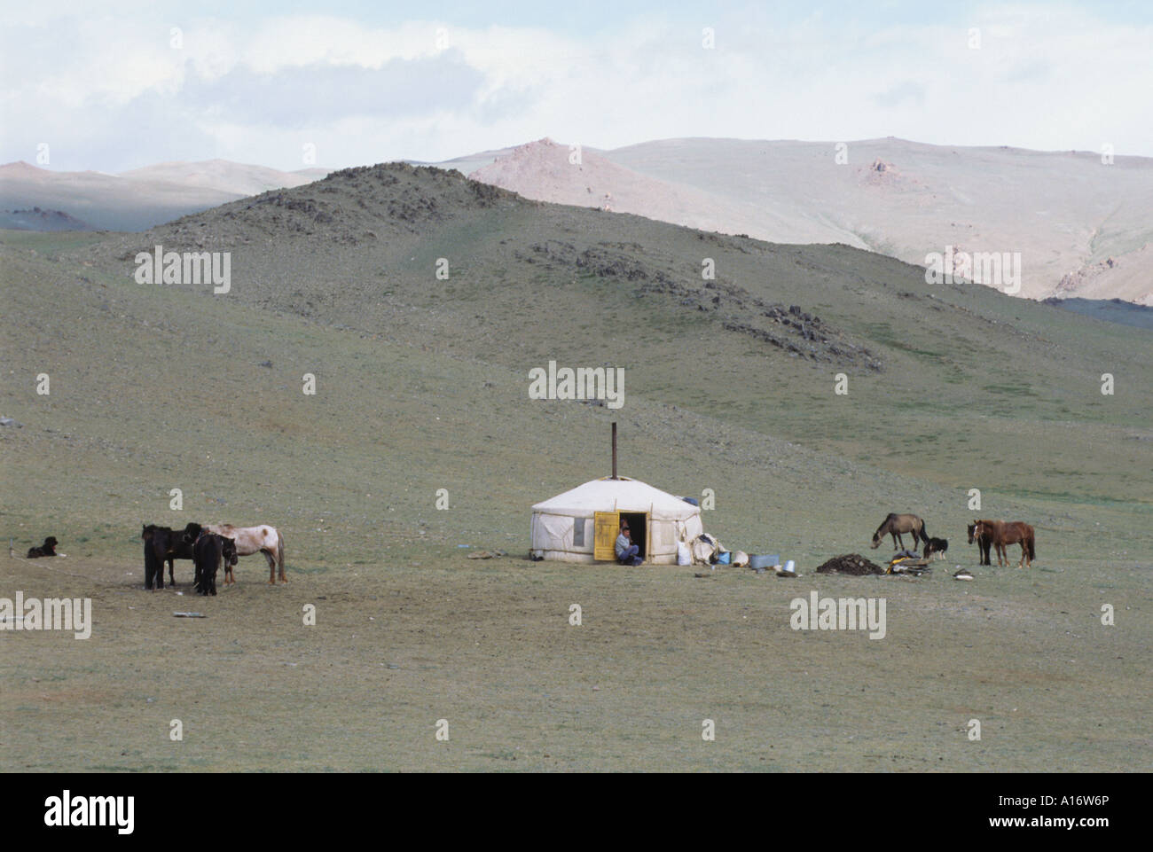 Landscape with ger Mongolia Stock Photo - Alamy