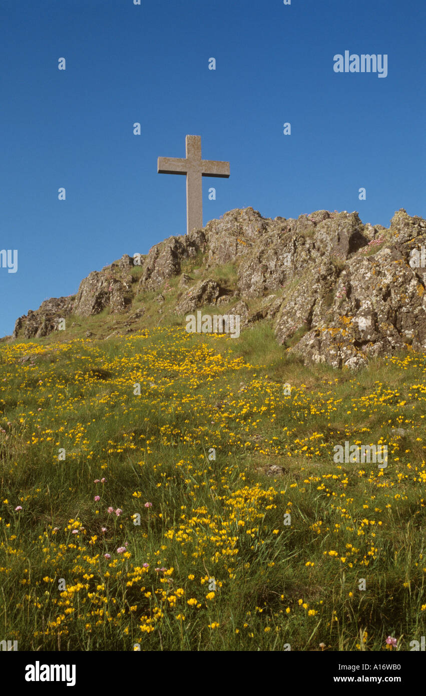 Stone cross and wild flowers Ynys Llanddwyn Stock Photo