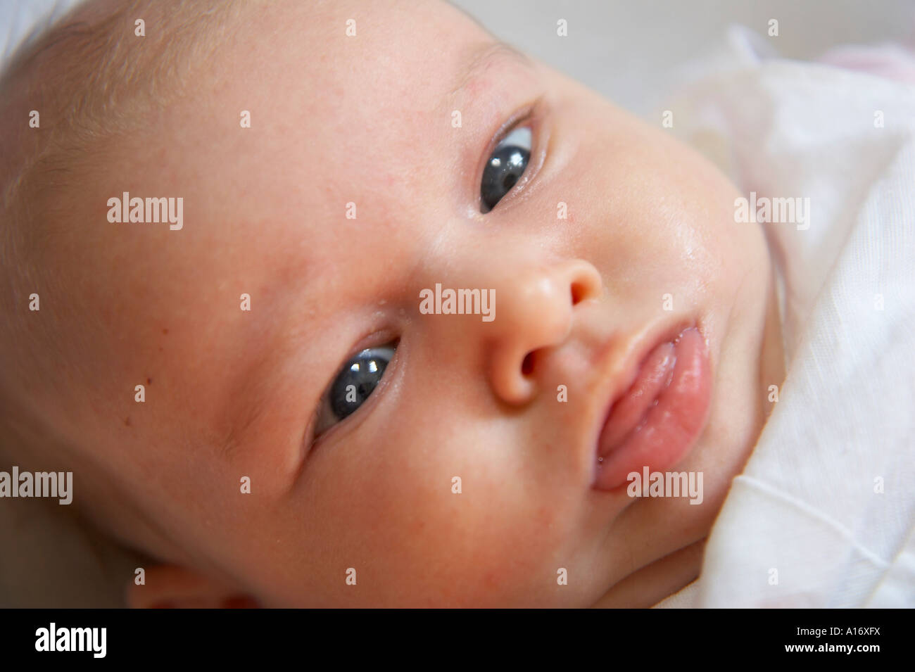 portrait of baby Stock Photo - Alamy